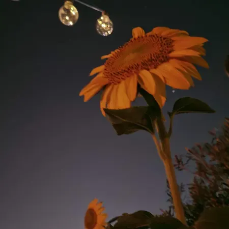 Albania Loft Hostel Tiran